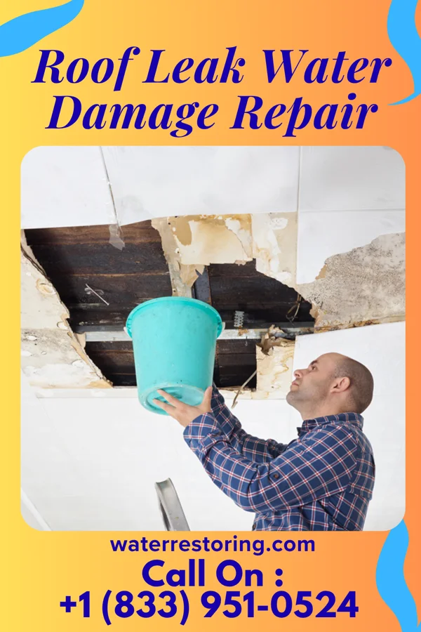 Roof Leak Water Damage Repair in New Cambria, KS